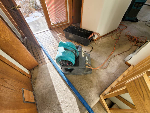 Best Water damage restoration near me  in Temple, GA