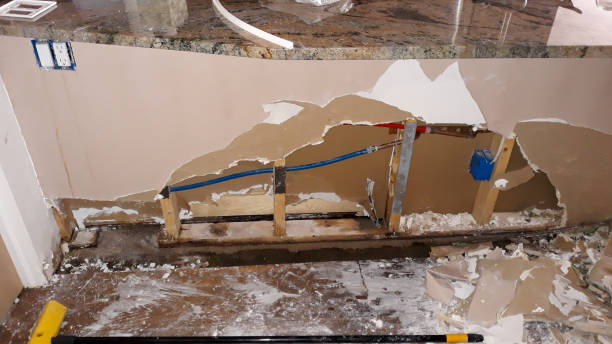 Best Ceiling water damage repair  in Temple, GA