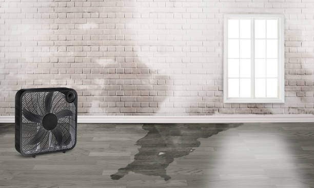 Best 24/7 water damage repair  in Temple, GA