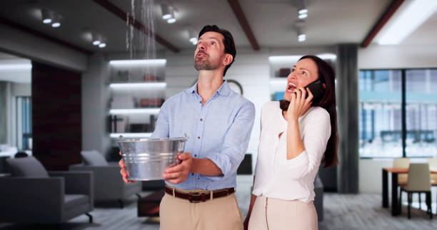 Best Basement water damage restoration  in Temple, GA