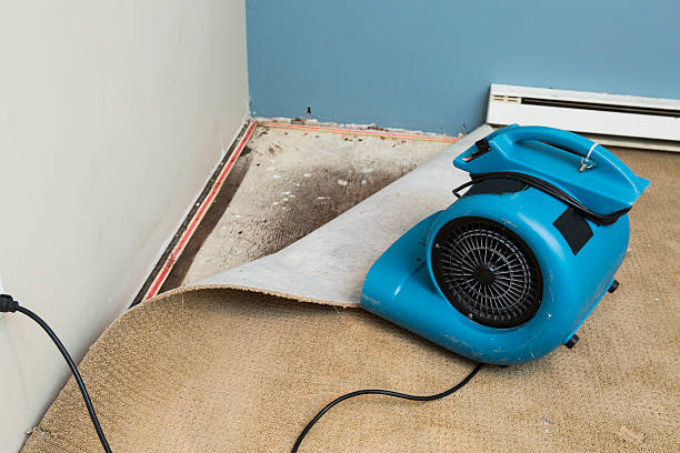 Best Emergency water damage restoration  in Temple, GA
