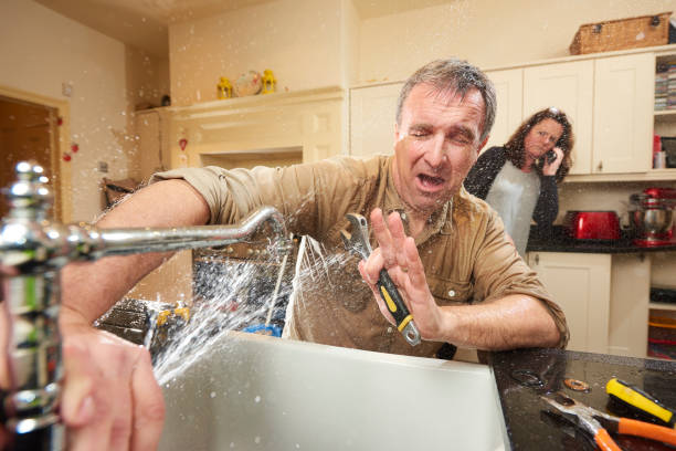 Best Mold removal after water damage  in Temple, GA